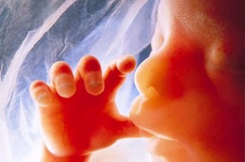 Святоотеческое слово о СЕМЬЕ - Abortion.jpg