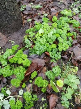 Каждая погода - благодать... - image-0-02-05-2e277fa52dd2ee7669ee3e76514014ae01c29652ba3d00f263fe5bf3e90feab0-V.jpg