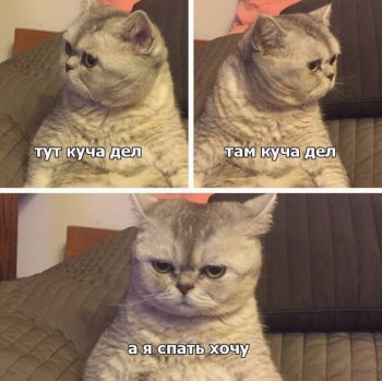 Правда жизни - хохо.jpg