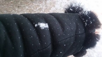 Каждая погода - благодать... - DSC_2891.JPG