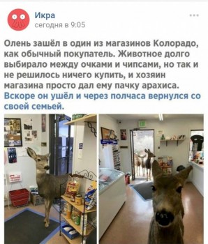 С улыбкой о многом =  - _20171226_114147.JPG