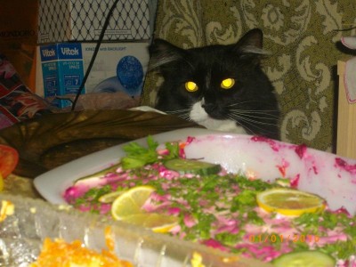 Кошки - очарование МОЁ - IMGP2752.JPG