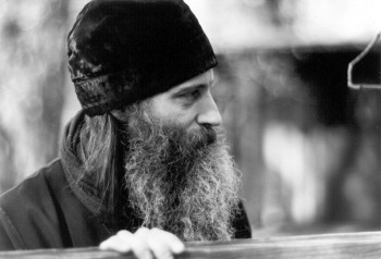 Подорожник - h-11015.jpg