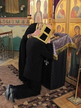 Подорожник - image (2).jpg