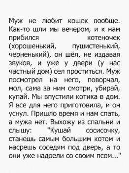 Мужская логика - мл.jpg