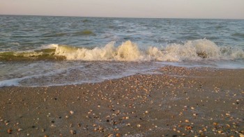 Моё любимое время. Марфа - DSC_0953.JPG