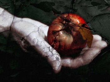 Подорожник - fullsize.jpg