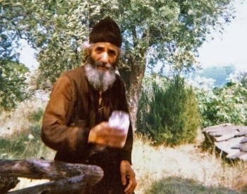 Подорожник - i-906.jpg