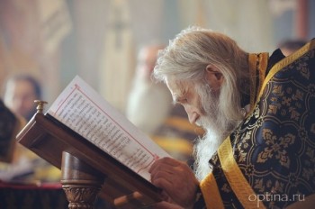 Подорожник - 5406001_900.jpg