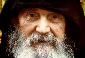 Подорожник - 88-600x409.jpg