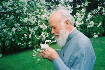 Подорожник - lHpZJo4m54A1.jpg