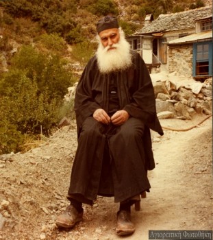 Подорожник - 488c014db19314d2e4ac2d3409e3dda7.jpg