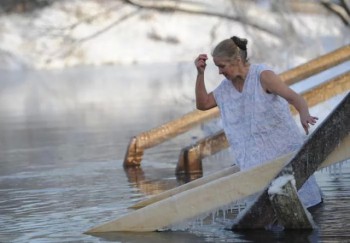 Подорожник - h-4713.jpg