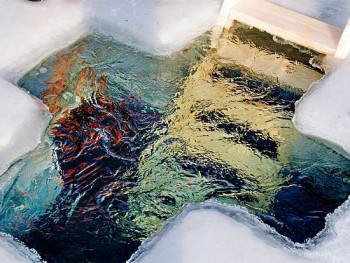 Подорожник - 119779661_195233_p.jpg