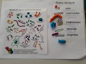 Семейное образование - 20180119_094310.jpg