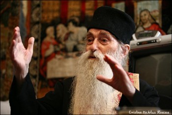 Подорожник - 139413.b.jpg