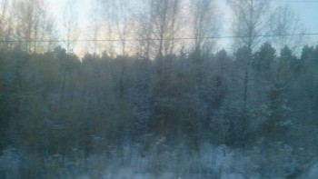 Каждая погода - благодать... - DSC_2927.JPG