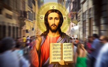 Подорожник - i-2916.jpg