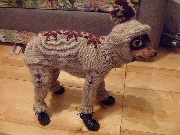 О рукоделии с улыбкой - 26733362_1623410231050893_3404705439586284722_n.jpg