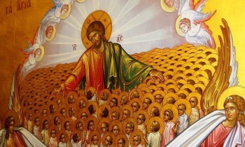 Подорожник - h-10859.jpg