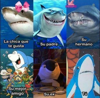 С улыбкой о многом =  - _20180217_230247.JPG