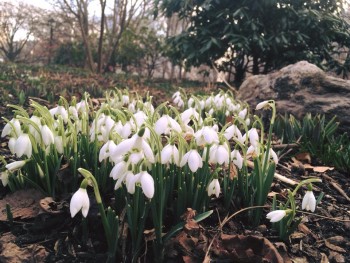 Каждая погода - благодать... - 28056795_1820421594669624_6413240285033223099_n.jpg