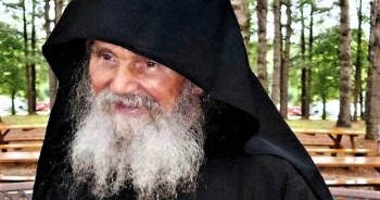 Подорожник - image.jpg