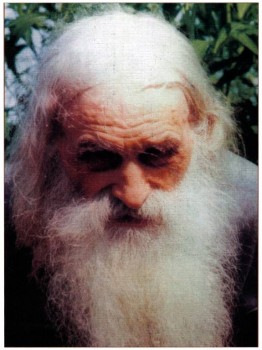 Подорожник - 47551_html_6c602452.jpg