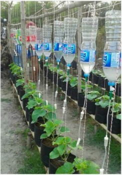 Идеи для сада-огорода. - _20180305_231530.JPG