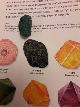 Семейное образование - 20180224_172831.jpg