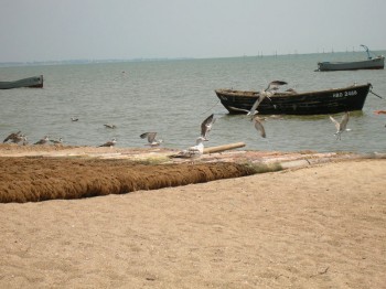 Моё любимое время. Марфа - 62027622.jpg