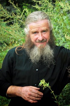 Подорожник - 800xdsc_0961-2-0.jpg