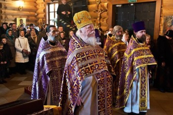 Подорожник - i-379.jpg