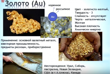 Семейное образование - золото.PNG