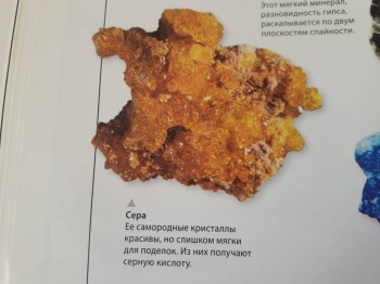 Семейное образование - 20180312_131415.jpg