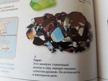 Семейное образование - 20180312_131442.jpg