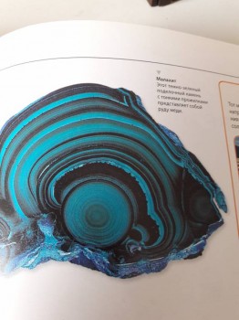 Семейное образование - 20180314_092454.jpg