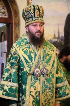 Подорожник - img_2768-400x600.jpg