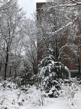 Каждая погода - благодать... - 21 марта 18.jpg