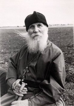 Подорожник - h-5659.jpg