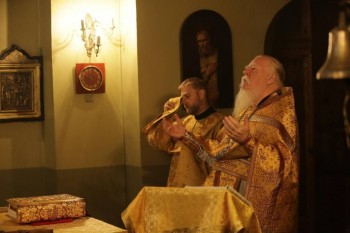 Подорожник - h-5656.jpg