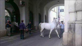 Австрия - Screenshot_2018-03-27-00-55-48.png