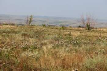 Моё любимое время. Марфа - hello_html_71401087.jpg