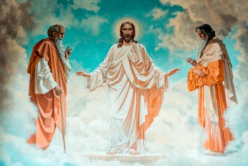 Подорожник - _KZN8956_595.jpg