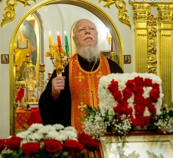 Подорожник - i-18448.jpg