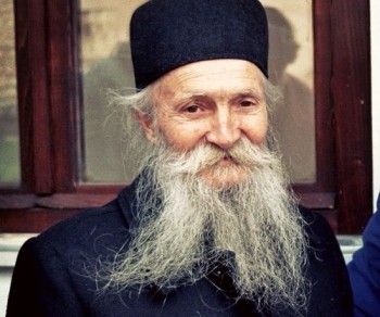 Подорожник - 262512.p.jpg