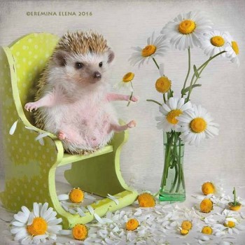 Аватар, аватар, аватар.... - 9d1afa5f286b947c5f1c63b3ea560c0b.jpg