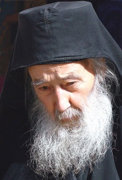 Подорожник - h-9009.jpg