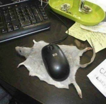 Юмор в мониторе - _20180429_155254.JPG