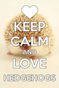 Ёжики, ежи, ежата - 694f9df3ef9756b32fd48a5cdb024ce4.jpg